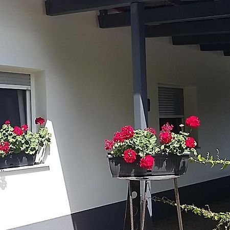 Apartma Mbm Apartment Križevci pri Ljutomeru Екстериор снимка